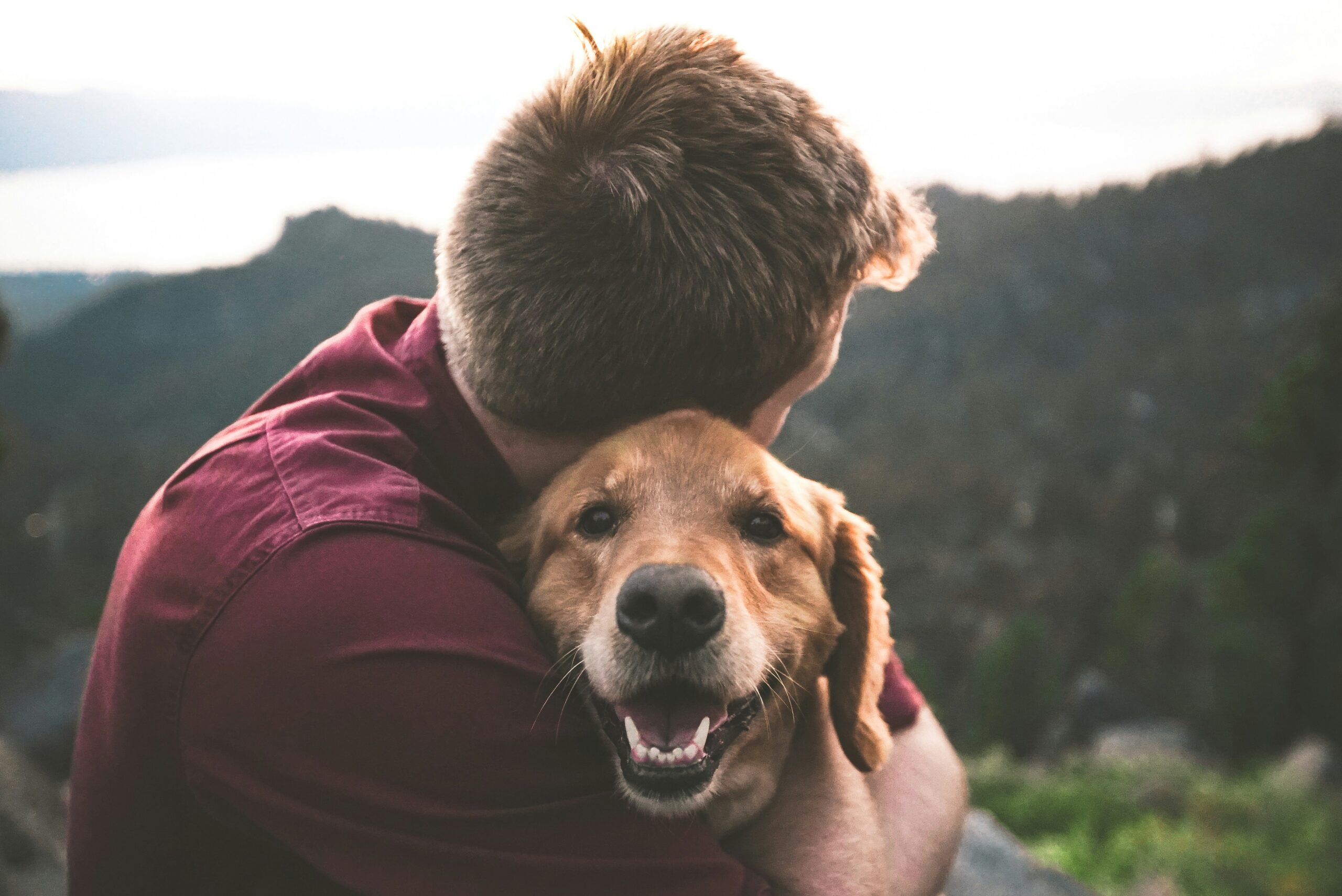 5 Simple Ways to Strengthen the Bond with Your Dog (And Be Happier Together)